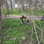 Субботник "Зеленая весна"